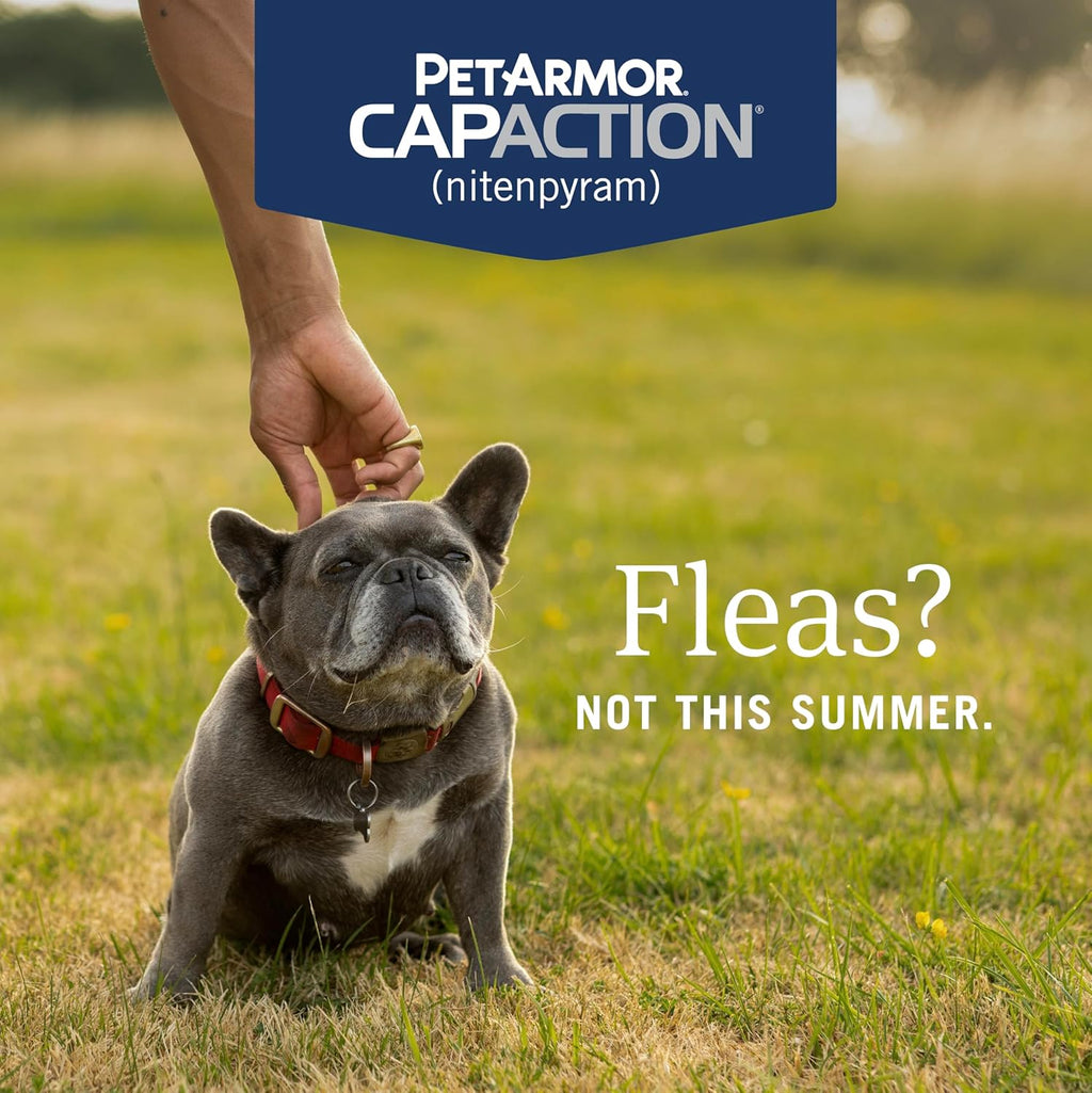 CAPACTION (Nitenpyram) Oral Flea Treatment for Dogs, Fast Acting Tablets Start Killing in 30 Minutes, Small Dog Flea Treatment 2-25 Lbs, 6 Doses
