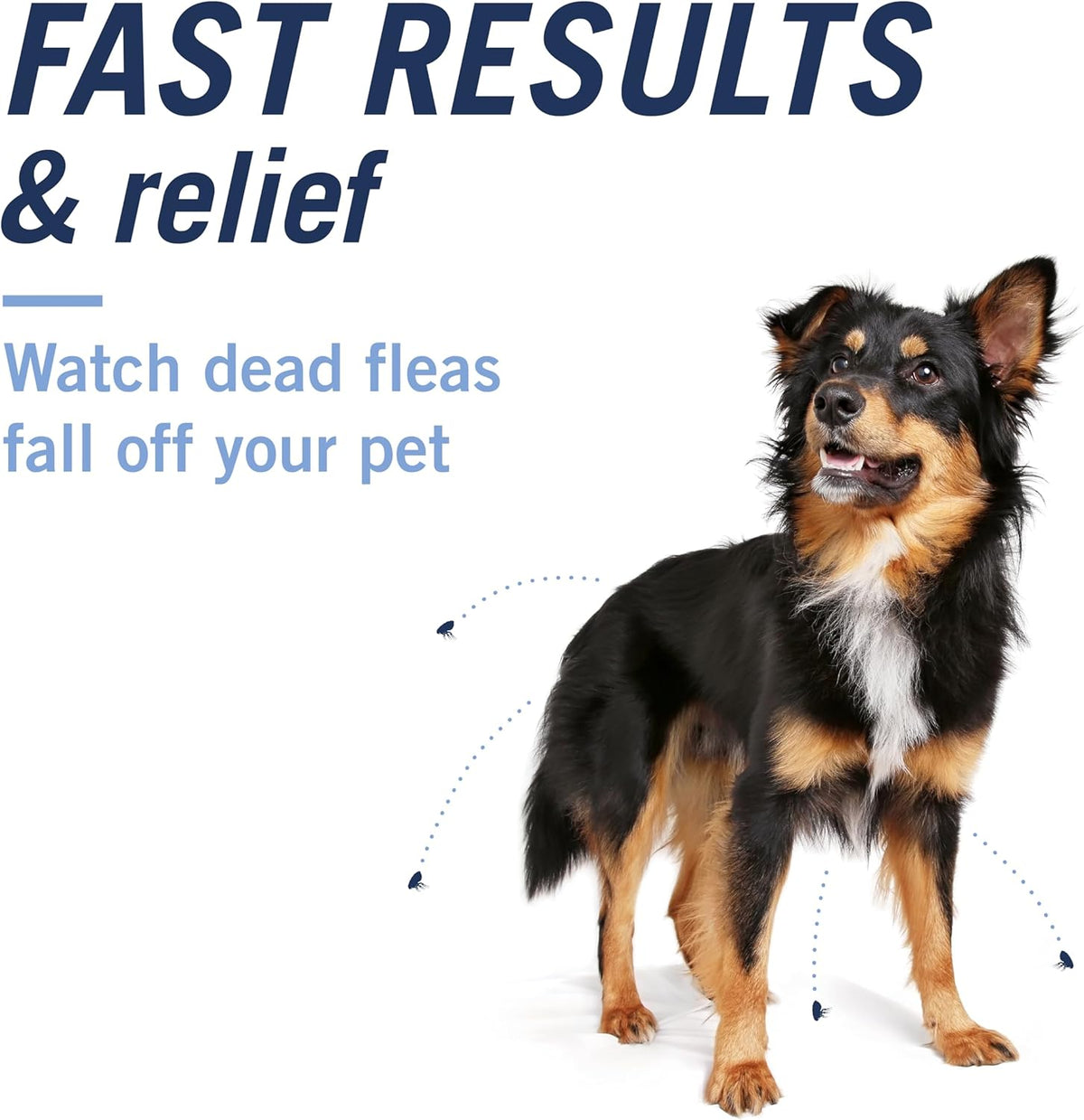 CAPACTION (Nitenpyram) Oral Flea Treatment for Dogs, Fast Acting Tablets Start Killing in 30 Minutes, Small Dog Flea Treatment 2-25 Lbs, 6 Doses