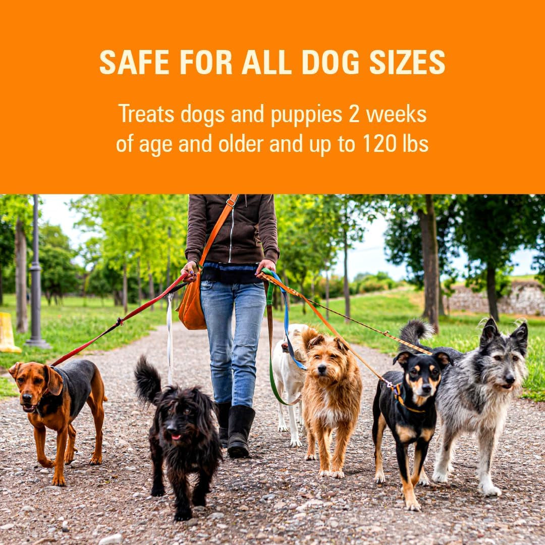7 Way Liquid Dewormer for Dogs 2 Oz Broad Spectrum Canine Anthelmintic Suspension Removes Hookworms and Roundworms for Dogs up to 120 Lbs