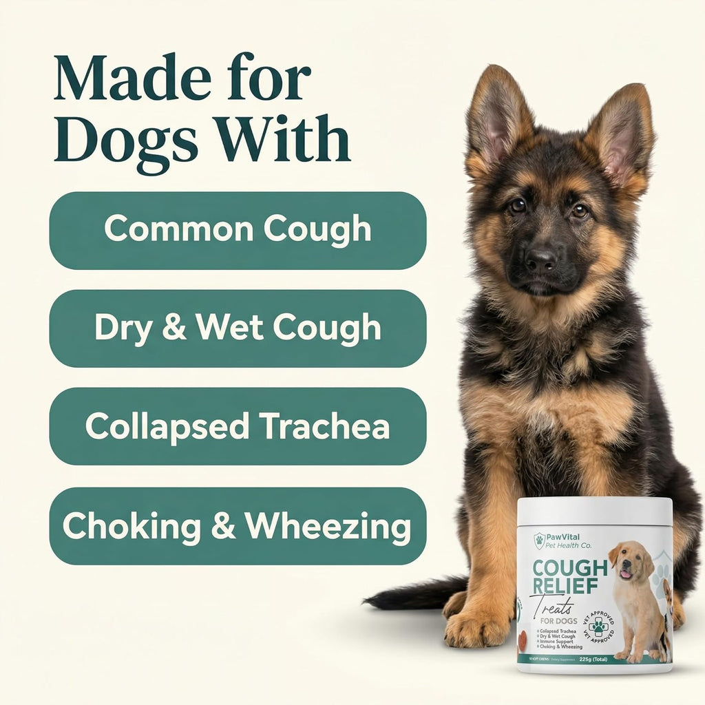 Dog Cough Medicine - 100% Natural Respiratory Support - Relief for Cough and Breathing Discomfort - All-Natural Treats Made with Real Chicken