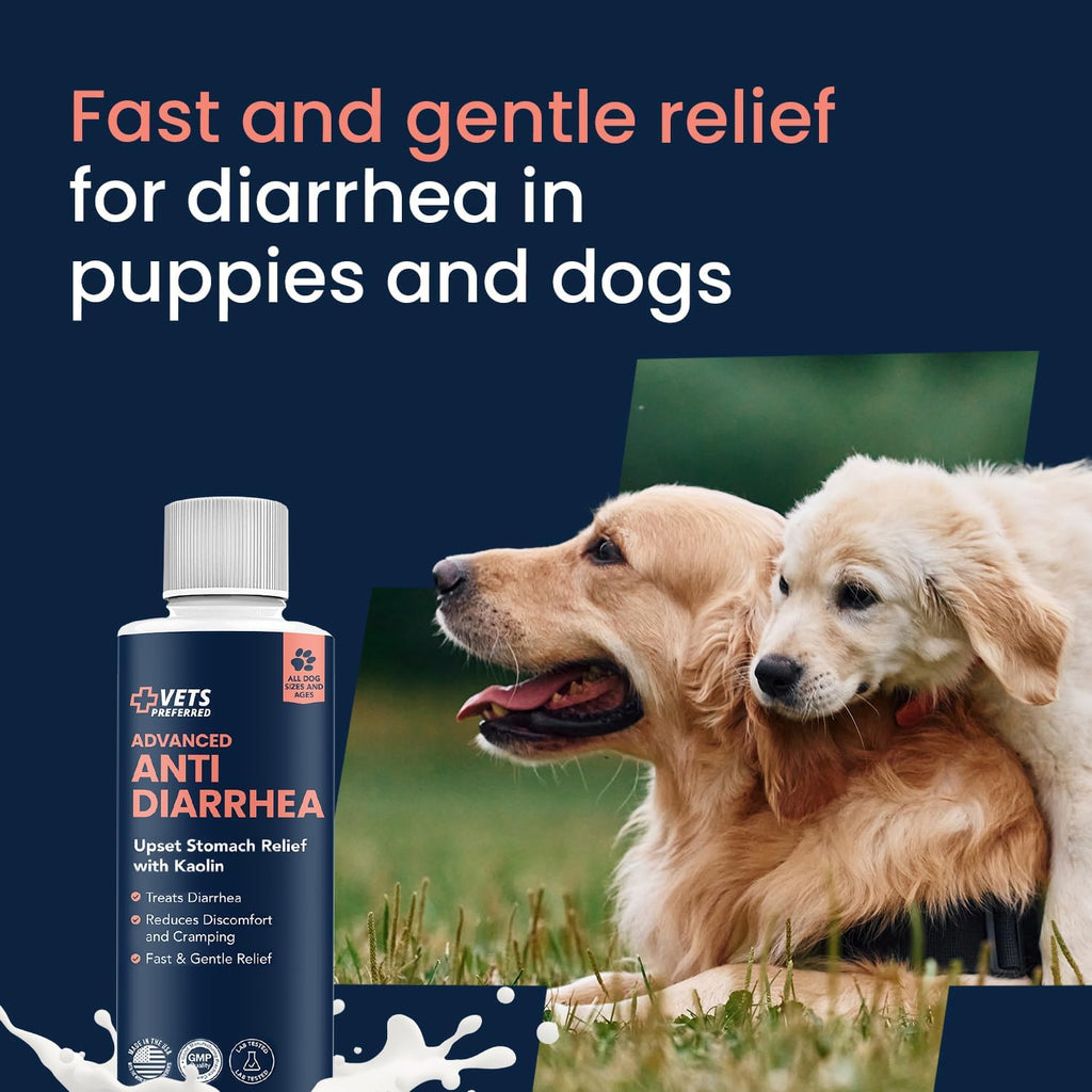 Anti-Diarrhea & Gas Relief for Dogs – Kaolin Formula to Soothe Upset Stomach & Support Digestive Health – All Breed & Size Dogs – 8 Fl Oz Liquid – Made in USA