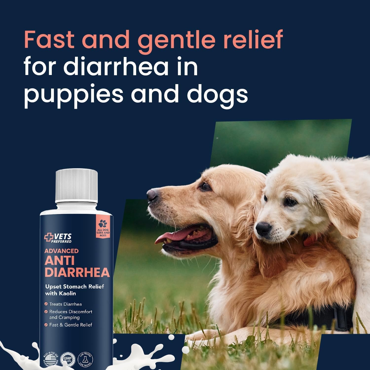Anti-Diarrhea & Gas Relief for Dogs – Kaolin Formula to Soothe Upset Stomach & Support Digestive Health – All Breed & Size Dogs – 8 Fl Oz Liquid – Made in USA